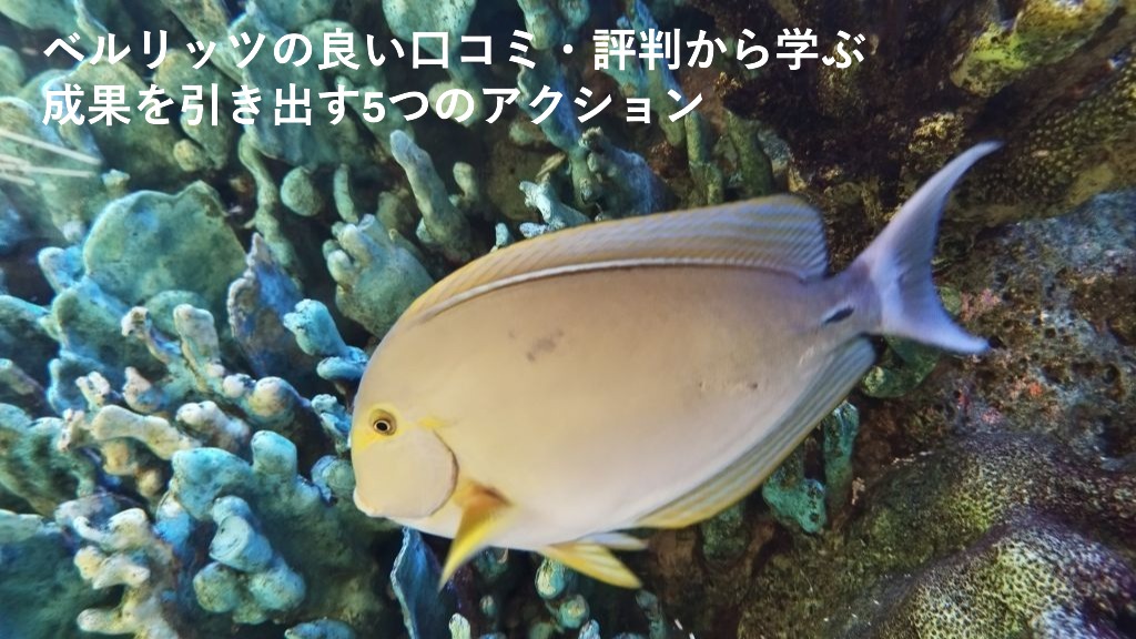 ベルリッツの良い口コミ・評判から学ぶ
成果を引き出す5つのアクション