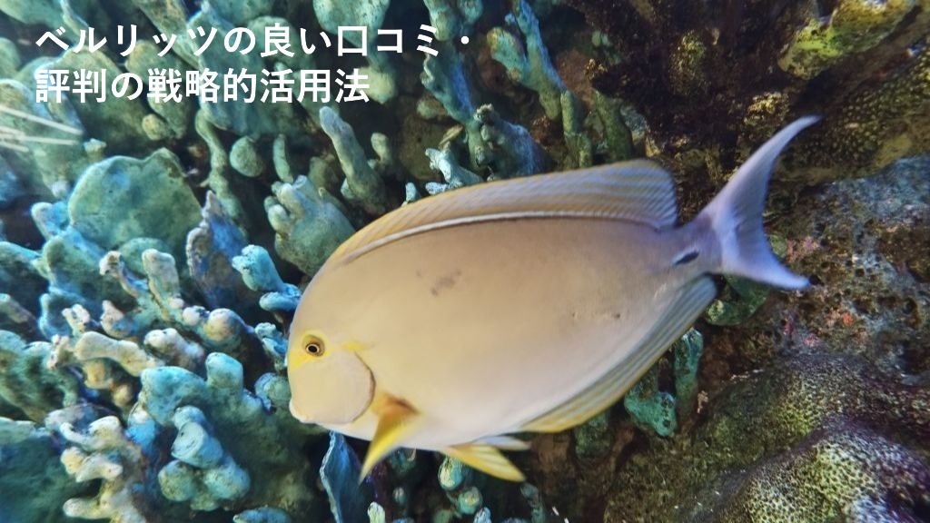 ベルリッツの良い口コミ・
評判の戦略的活用法