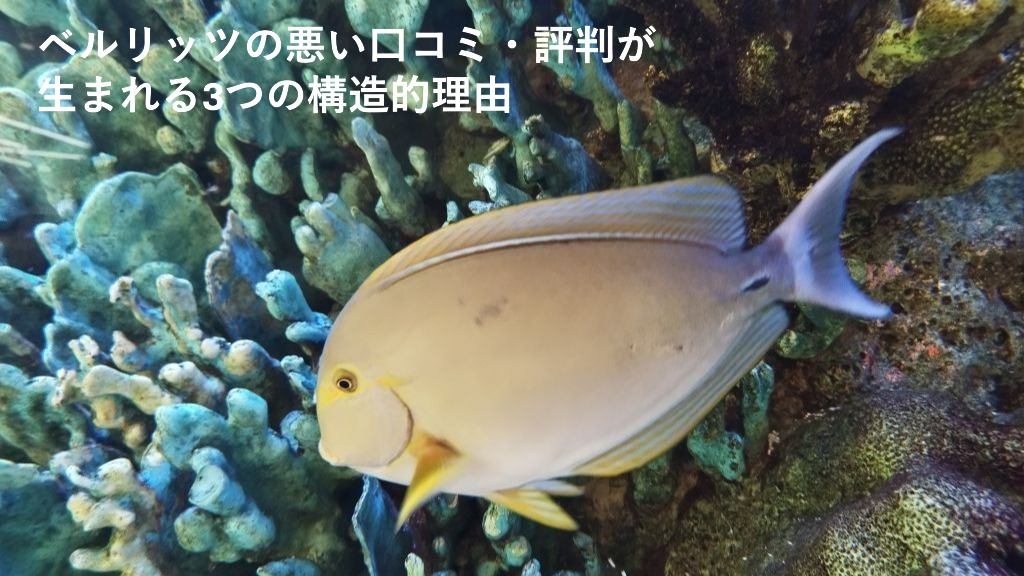 ベルリッツの悪い口コミ・評判が
生まれる3つの構造的理由