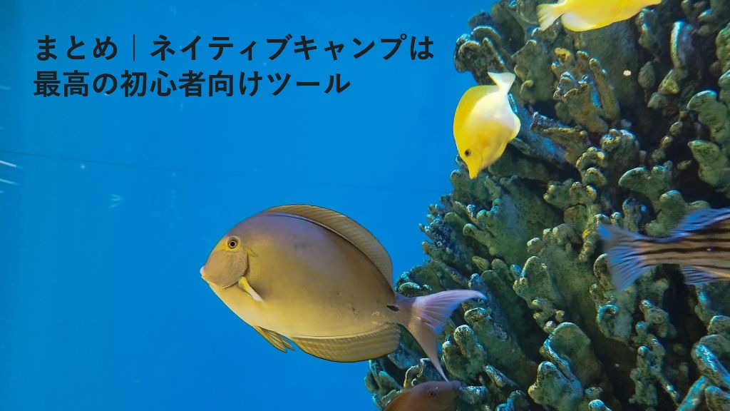 まとめ|ネイティブキャンプは
最高の初心者向けツール